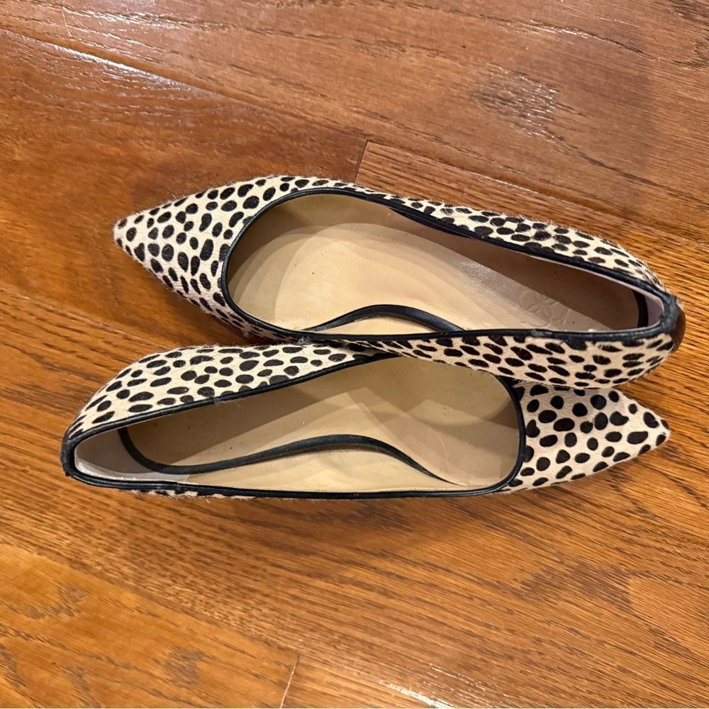 Leopard Print Women's Ann Taylor size 5 kitten heels